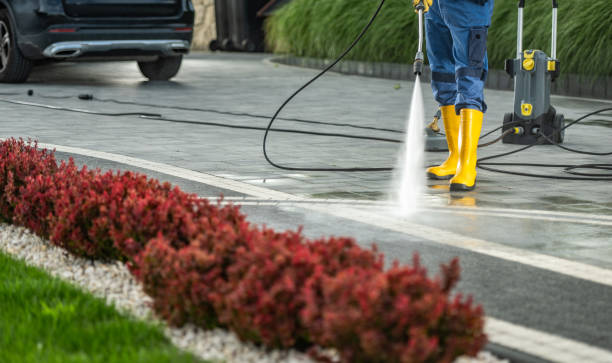 Best Residential Pressure Washing Services  in Maroa, IL
