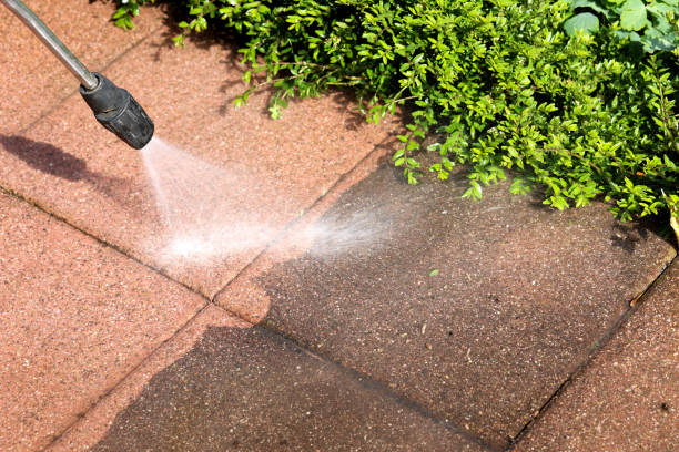 Best Roof Power Washing Services  in Maroa, IL