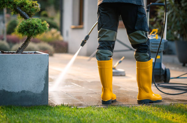 Best Local Pressure Washing Services  in Maroa, IL